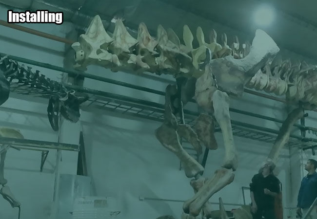 Skeletons Installing